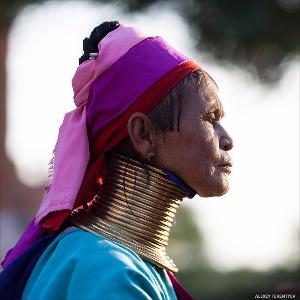 Длинношеие… Мьянма