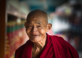 Старый монах. Дхарамсала. Индия