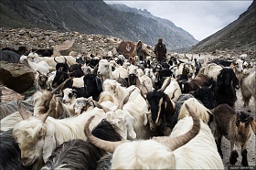 На перевале... Путь в Индийский Тибет