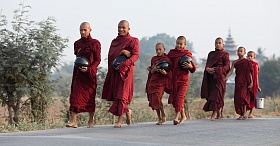 Монахи собирают еду. Мьянма