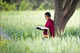 Молодой монах. Монастырь. Северная Индия
