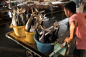 Рыбный рынок в Сандакане