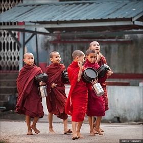 Молодые монахи. Янгон. Мьянма
